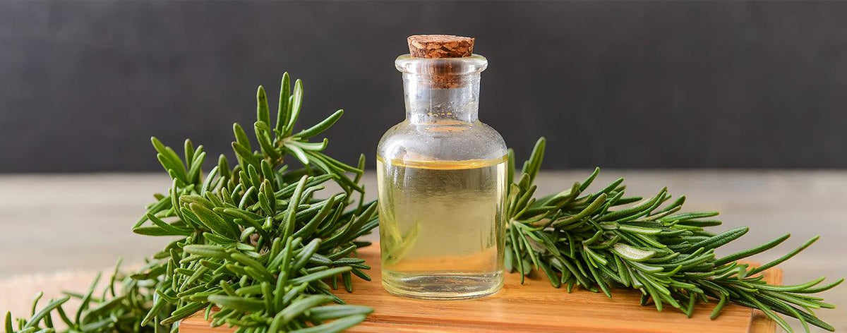 Rosemary Essential Oil