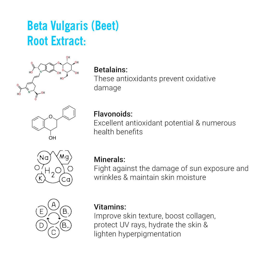 Daily Skincare Routine for Spot Removal & Hydration – Facewash, Serum, Moisturizer, SPF 30 Sunscreen With Hyaluronic Acid, Daisy Flower, Alpha Arbutin, Beetroot Extract, Mulberry Root Extract, Vitamin C & B5 to Fade Dark Spots, Scars & Even Skin Tone - Keya Seth Aromatherapy