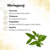 Hair Grown Oil with Bhringraj, - Reduce Hair Fall & Grows Hair for Strong, Thicker, Darker & Shiny Hair with Methi & Amla for Men & Women. - Keya Seth Aromatherapy