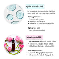 1% Hyaluronic Lotus Hydrating Serum Hybrid Mineral Sunscreen SPF 50 PA+++, Watery Emulsion,No White Cast, Water Resistant, Tinosorb M + Parsol TX - Keya Seth Aromatherapy