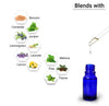 Eucalyptus Essential Oil, Therapeutic, Pure & Natural, Headache, Sinus, Nasal Congestion, Cold & Cough, Antiseptic & Insecticide 10ml