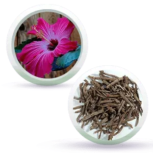 Black Shine Hair Pack Natural Hair Color for Gray & White Hair with Pure Essential Oil & Herbs Extract - No Ammonia, Hydrogen Peroxide - Keya Seth Aromatherapy