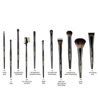 Set of 11 professional Mini Make Up Brush kit